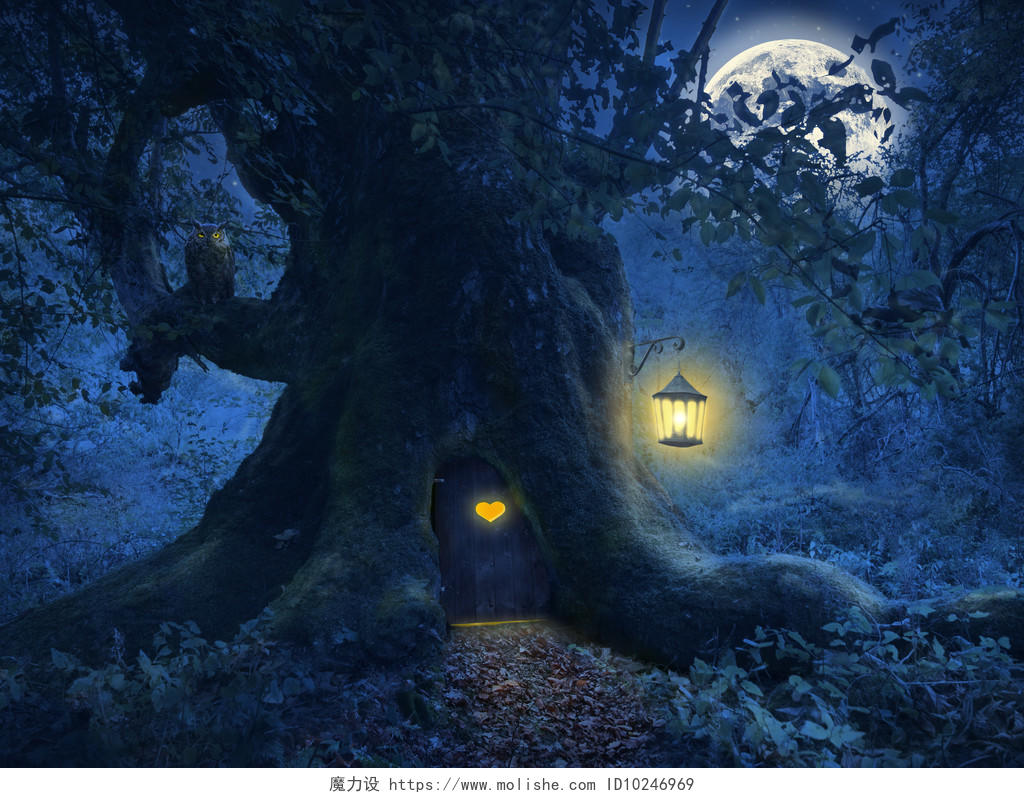 神奇的夜晚 与在行李箱里的一棵古树在魔法森林里的小屋